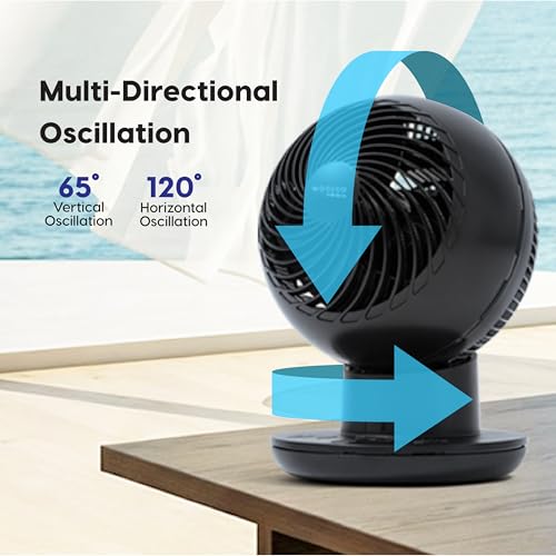 Air Circulator Fan with Remote 8 Speeds DC Motor Oscillation Black - Variation of THIS listing