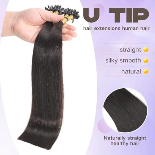 U Tip Hair Extensions Human Hair Black #1B 14 Inch - Natural Black, Keratin Tips