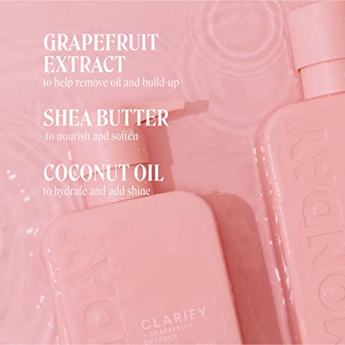 MONDAY HAIRCARE Clarify Conditioner 12 oz. (354 ML) for Oily Hair, Made with Grapefruit Extract, Coconut Oil, Shea Butter, Vitamin E and Provitamin B5 (Pack of 2)