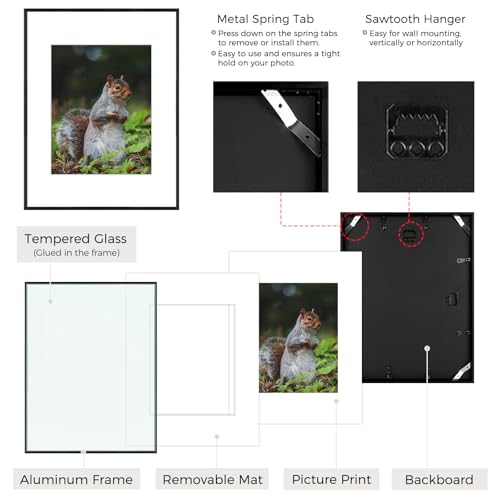 Real Glass Black Aluminum 16x20 Frame Set - Pack of 3 with Mat