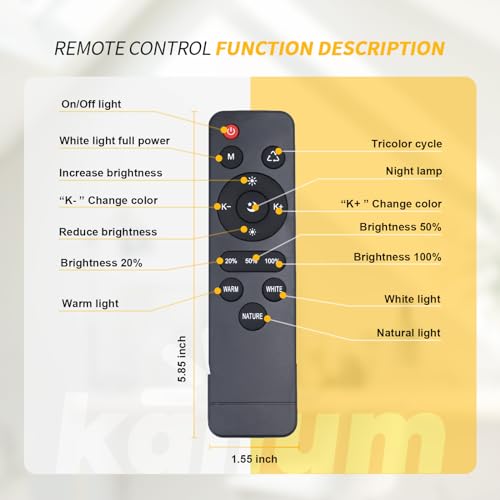 Kalium 13-Inch Black LED Ceiling Light 2 Pack with Remote, Dimmable & Adjustable Color
