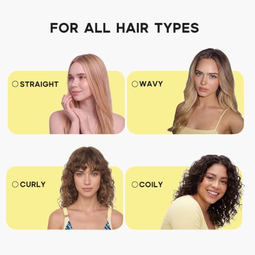 HALOVIDA Detangler Hair Brush 1 Pack - Anti Frizz, Static-Free, Gentle on All Hair Types