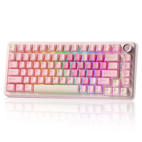 Wireless Mechanical Keyboard 75% Gasket Mount RGB with Multimedia Knob - Pink, Cocoa Cream V2 Switch