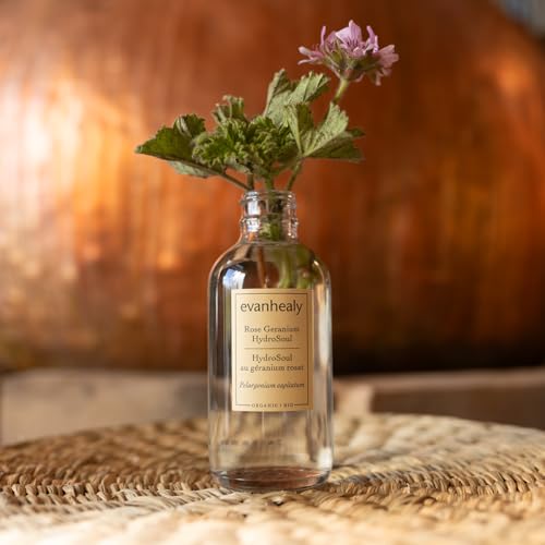 Organic Rose Geranium Facial Toner - Balancing Astringent Hydrosol for All Skin Types