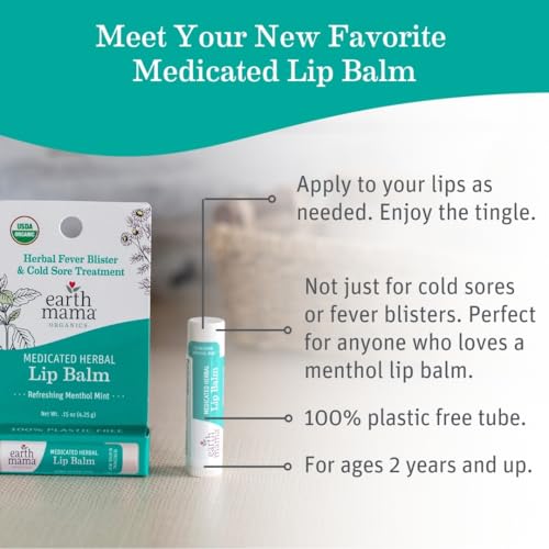 Medicated Herbal Mint Lip Balm Set - Organic, Pain & Cold Sore Relief - 4 Pack