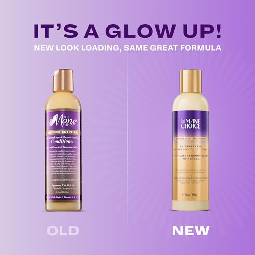 The Mane Choice Ancient Egyptian Anti-Breakage & Repair Antidote Conditioner for Coily, Wavy & Curly Hair, Hydrates & Strengthens Your Hair, Nourishes Dry, Brittle Hair, 8 Oz
