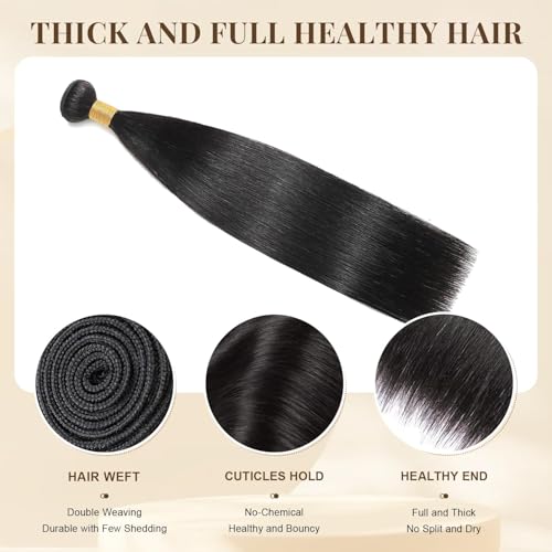 Mironica 20 Inch Straight Human Hair Extensions | 12A Quality, Soft & Natural
