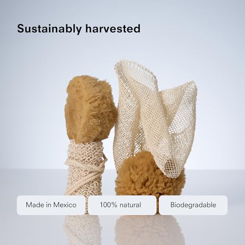 Public Goods Natural Agave Fiber Exfoliating Body Scrubber - Eco-Friendly Long-Handle Loofah