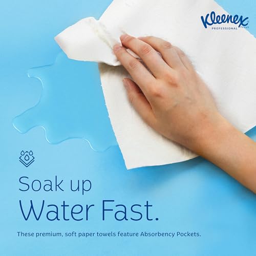 Bulk Paper Hand Towels - 18 Boxes of Soft Absorbent Towels, 120 Sheets Each