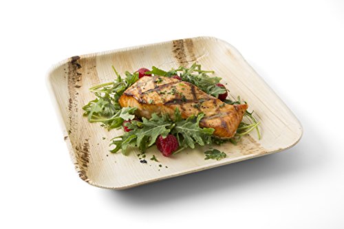 Charity Leaf Disposable Bamboo Square Plates 7-Inch - 200 Pieces, Eco-Friendly Dinnerware