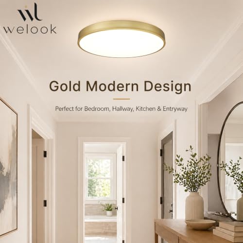 Gold 24-Inch LED Flush Mount Ceiling Light 48W Dimmable 5CCT Modern Fixture