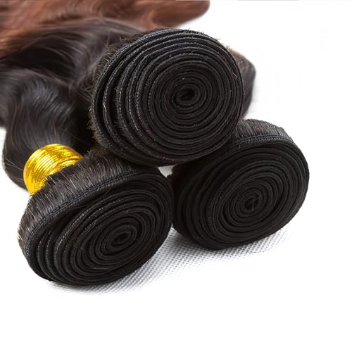 Brazilian Virgin Human Hair Extensions - Ombre Black to Light Brown, 8-30 Inch, 3 Bundles