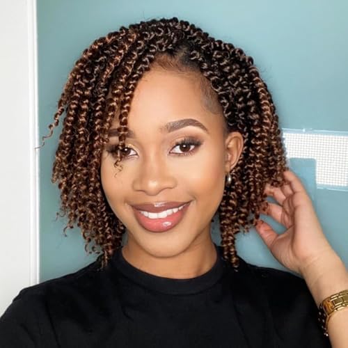 Ameli 10 Inch Passion Twist Crochet Hair 8 Packs Pre Looped for Black Women T30