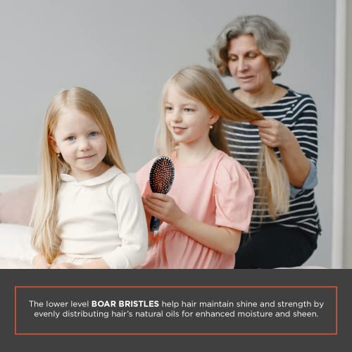 Boar & Nylon Bristle Cushion Hair Brush - Detangle & Style All Hair Types