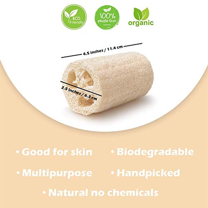 ? Natural Loofah for Bathing Exfoliating Scrubbers | Organic Bath Sponge for Spa Shower | Face, Back and Body Scrubber | Eco-Friendly (6 Large Natural Loofah)