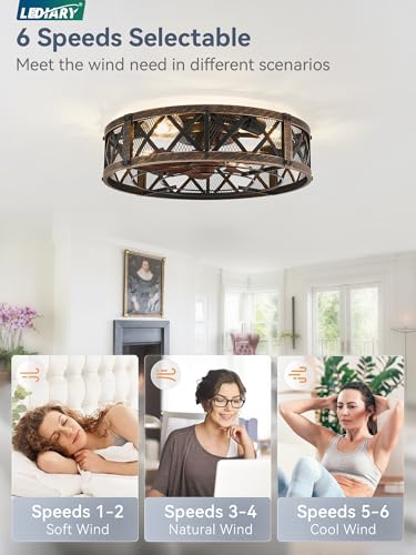 20-Inch Black Gold Caged Farmhouse Ceiling Fan with Light - Flush Mount