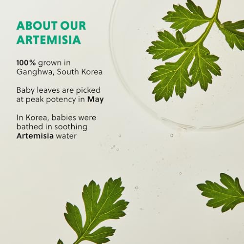 Gentle Artemisia & Cica Cleansing Oil for All Skin Types - Hydrating Facial Cleanser