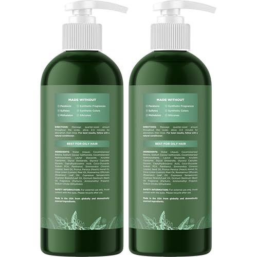 Citrus Clarifying Shampoo for Oily Hair & Scalp - Deep Clean & Build-Up Remover - 16 Fl Oz, Pack of 2