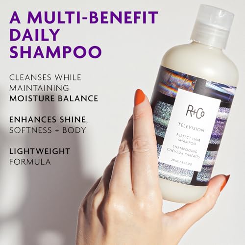 R+Co Television Perfect Hair Shampoo 8.5 Fl Oz - Dark Waves Scent, Hydrating & Vegan