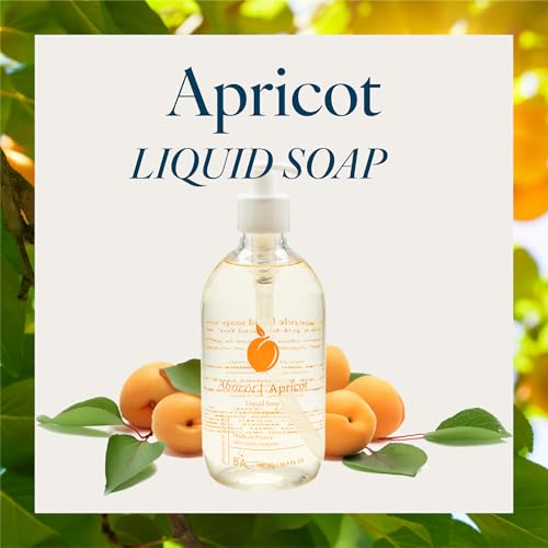 Provence Sante Natural Liquid Soap - Moisturizing Almond Oil Hand Soap with Ripe Apricot Scent - Elegant Pump Dispenser for Kitchen & Bath (16.9 oz)