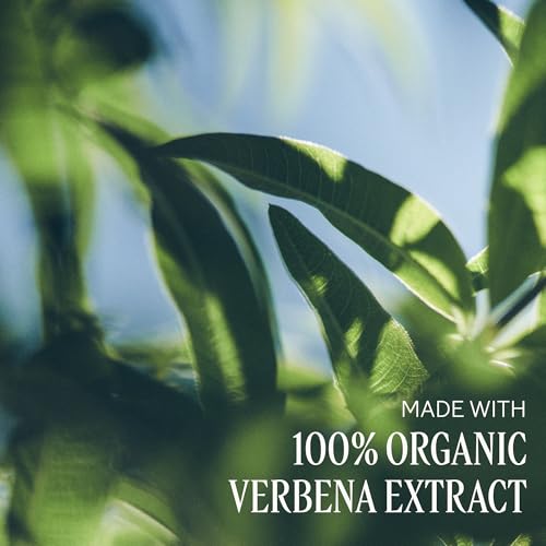 Gentle Liquid Hand & Body Soap with Shea & Verbena - 16.9 Fl Oz