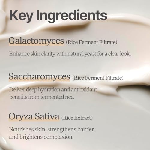Rice Makgeolli Eye Cream ? Deeply Hydrating & Nourishing ? Made with Domestically Sourced Korean Rice ? 30 ml (1.01 Fl Oz) ? Korean Skincare