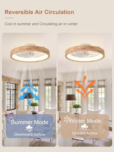 Curve Curio 20-Inch Modern Low Profile Wood Ceiling Fan with Light & Remote