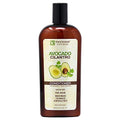 Fantasia Avocado Cilantro Conditioner 12 Ounce (355ml)