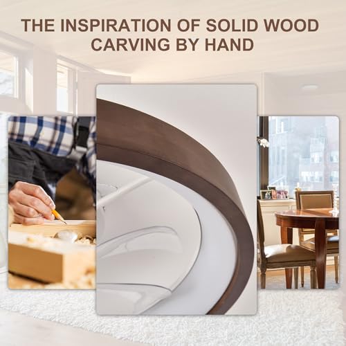 Oaks Aura 20-Inch Dark Wood Modern Flush Mount Ceiling Fan with Lights - Variant SM20-Z