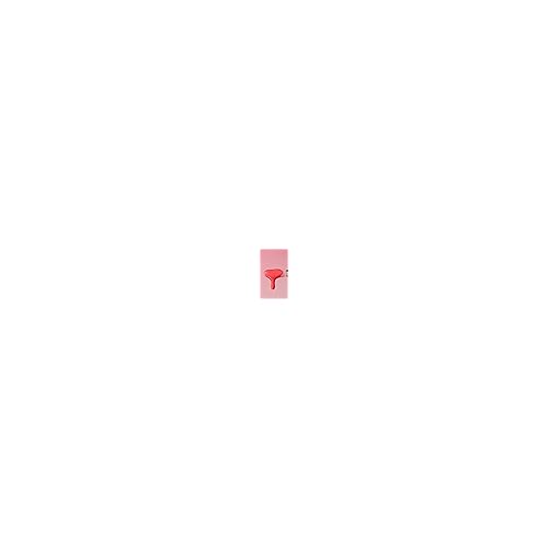 Est?e Lauder Glossy Pout Lip Oil | Plumping & Moisturizing with a Sheer Tint | Includes Hyaluronic Acid + Vitamin E