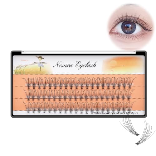 BODERMINCER 10 Root 60pcs 8-10-12-14-16mm Mixed Black Handmade False Eyelashes Natural Long Individual Eyelashes Extension Fake Lashes Makeup Beauty Cosmetic (5 PACKS-6MM)