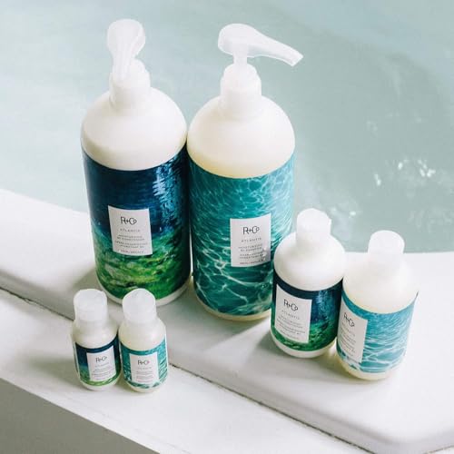 R+Co ATLANTIS Moisturizing B5 Shampoo ? Hydrating & Strengthening, Softens & Smooths Hair, All Hair Types