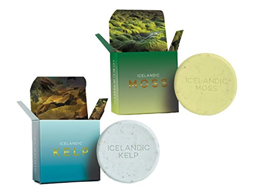 Exfoliating Soap Bars Set of 2 - Natural Icelandic Kelp & Moss Scents