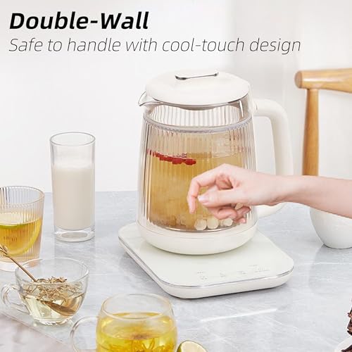 Double-Layer Glass Electric Kettle 1.5L with Stew Pot & Touch Panel - Multi-Function Tea & Soup Maker