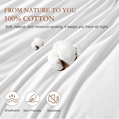 King Size Wool Pillow Set of 2 - White Australian Wool & Down Alternative Support Cushions