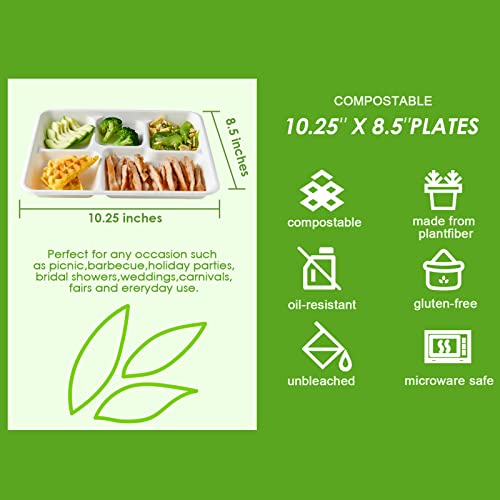 Disposable 5-Compartment Plates - Compostable Sugarcane Fiber, 10.2x8.5 inch, 500 Pack - White