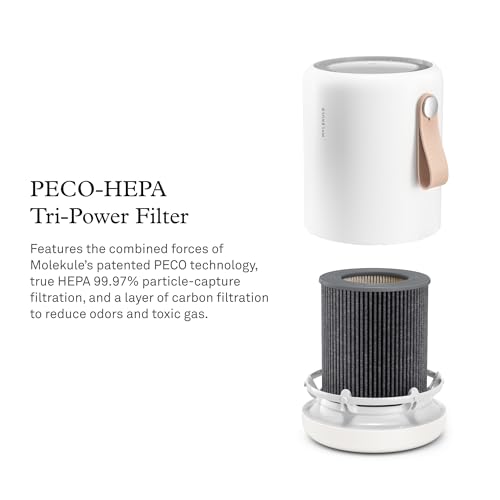 Mini/Mini+ PECO-HEPA Tri-Power Filter Replacement for Air Purifier - Medium Pack of 1
