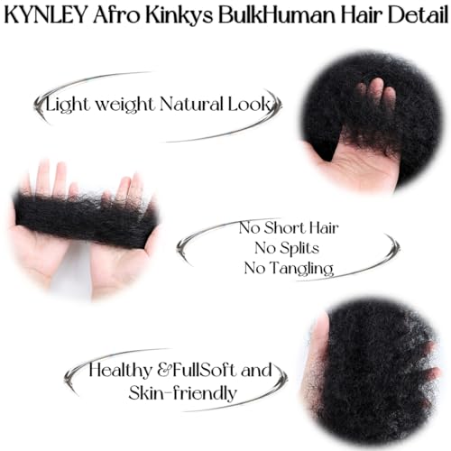 2 Pack 12 Inch Afro Kinky Human Hair Extensions for Dreadlocks & Loc Repair - Natural Black