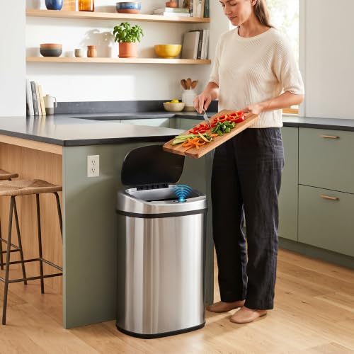 iTouchless Matte Silver 13-Gallon Sensor Trash Can with AC Adapter & Odor Filter