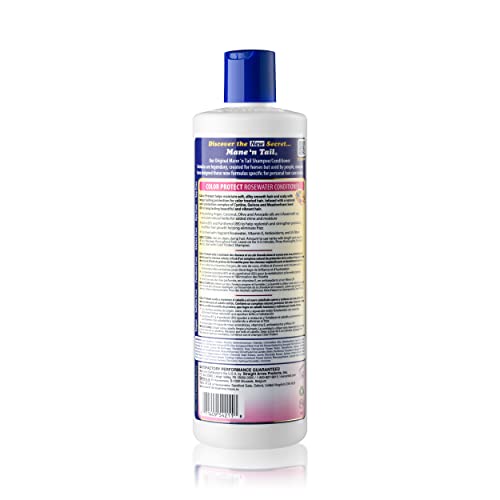Color Protect Shampoo & Conditioner Set - Sulfate & Paraben Free, Vegan, 20 Oz Each