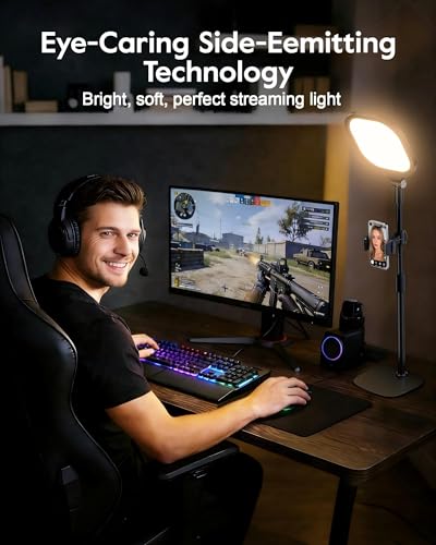 Black 2-Pack Video Conference Light for Zoom with Stand - 30 Modes, CRI>98