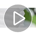 No Drill Cordless Cellular Blackout Shades - White, 46x64 Inches Variation of Blackout-White / 46 W x 64 H