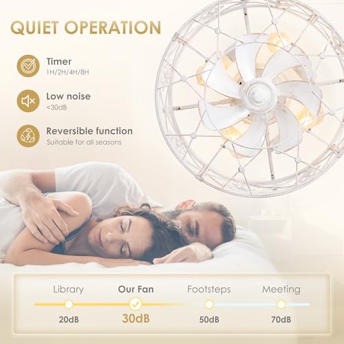 Farmhouse Caged Ceiling Fan with Light - 20 Inch Distressed White with Remote