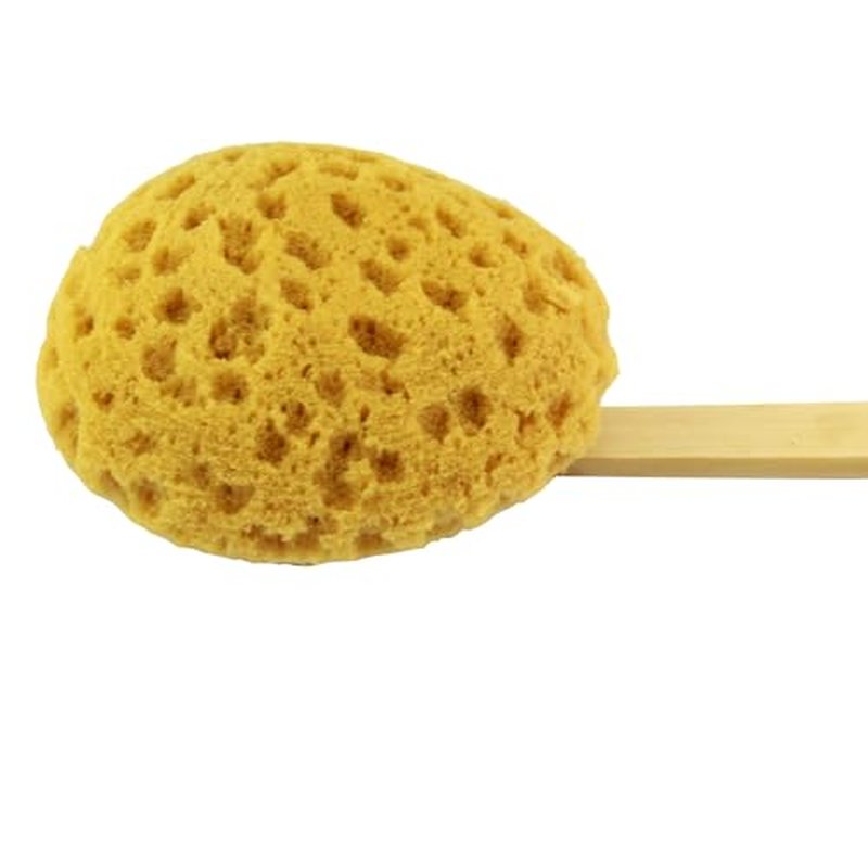 18" 2pcs Extra Long Handle Beechwood Bath Brush for Shower with Sponge - Exfoliating & Massaging Back Scrubber Bath Brush Gentle Exfoliating Lotion Applicator