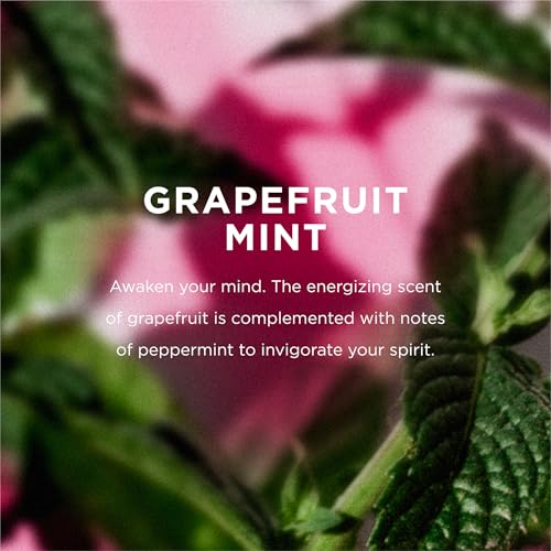 Grapefruit Mint Sulfate-Free Shampoo Refill – 1 Gallon Natural Hair Care