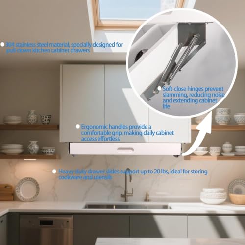 Pull-Down Under Cabinet Spice Rack Kitchen Organizer with Multi-Tier Shelves