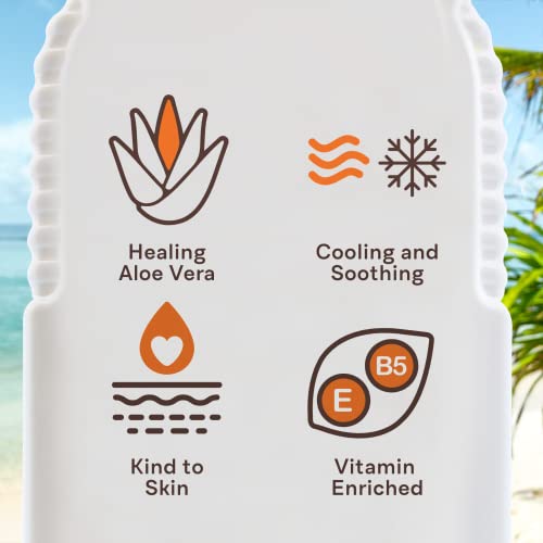 Primal Elements Face Mask, Clay Mud Facial Treatment, Multi-Use Package, 1.18 oz - Pumpkin Soothing
