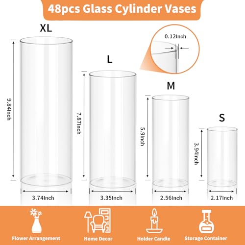 48Pcs Glass Cylinder Vases Set - 4,6,8,10 Inch for Centerpieces & Decor - High Borosilicate, Durable & Multi-Use