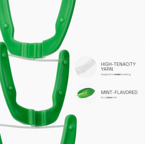 Reach Ultraclean Access Flosser Bundle - Mint, 1 Flosser + 3 Refill Heads