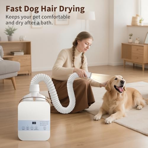MORFY Portable Bed Warmer with Remote Control, Shoe Dryer & Dual Nozzle, All-Season Climate Control
